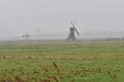 Polder Waal en Burg