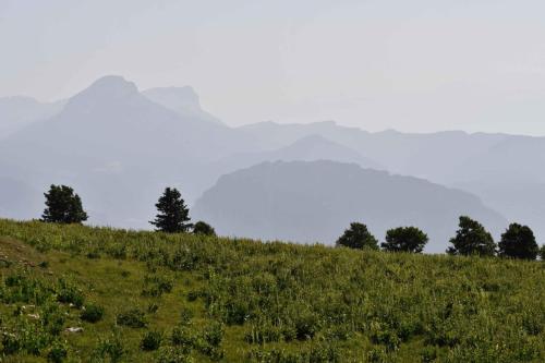 La Chartreuse depuis La Molière