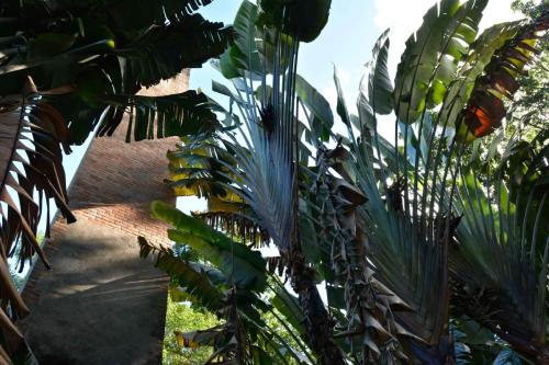 Domaine de la Pagerie