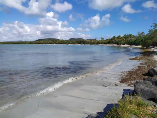 Plage de la Grande Anse des Salines