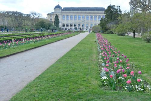 Jardin des plantes
