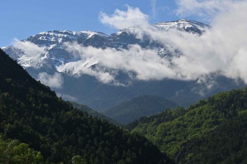 Vue depuis Arsèguel