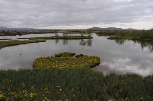 Parc national de Thingvellir