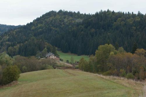Tourbières de Prénovel