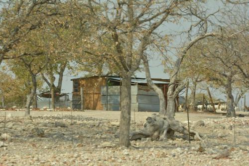 Sur la C39 en direction de Khorixas