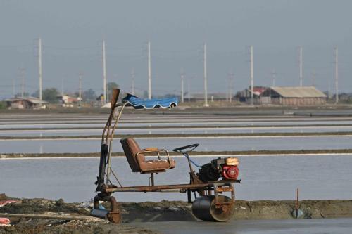 Laem Phak Bia - Marais salants