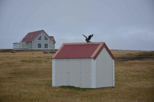Vue depuis la chambre