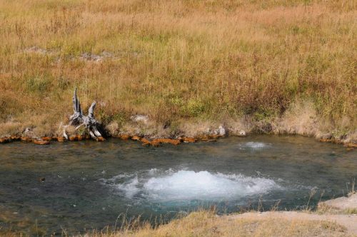Source d'eau chaude bouillonnante