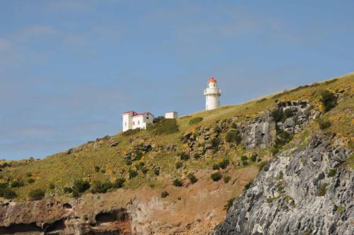 Pointe de la péninsule d'Otago 