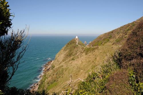 Nugget point 