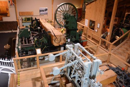 Sciage d'un tronc de Kauri