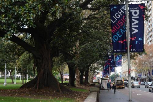 Banières pour le festival Vivid Sydney 2014