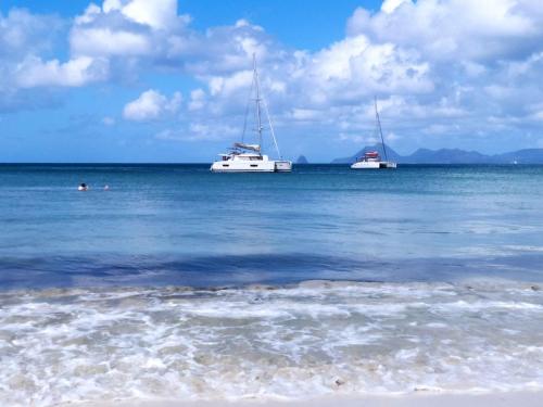 Plage de la Grande Anse des Salines