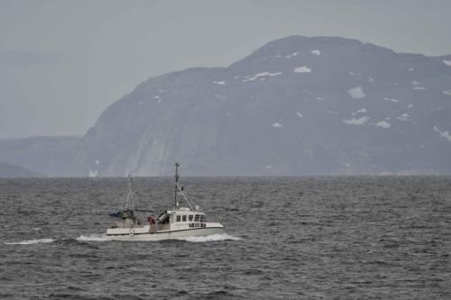 Varanger fjord à Vadso