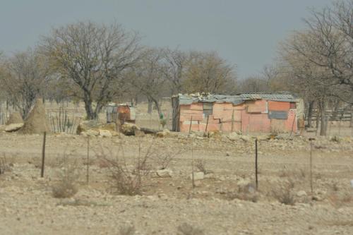 Sur la C39 en direction de Khorixas