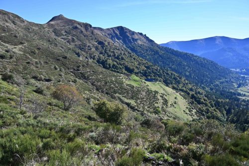 Vallée de l'Alagnon depuis col de Rombière