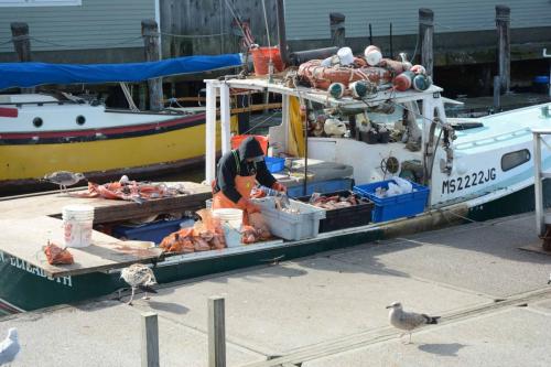 Port de Gloucester