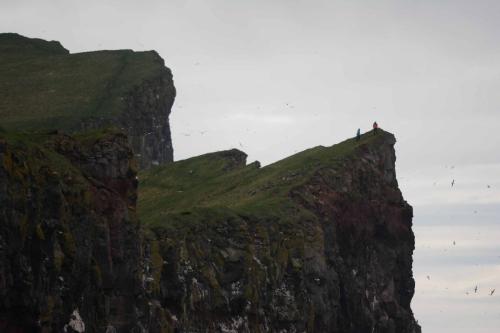 Falaises de Latrabjarg