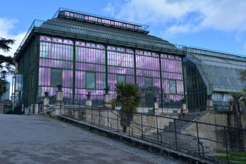 Jardin des plantes
