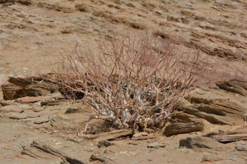 Sur la C14 en direction de Solitaire