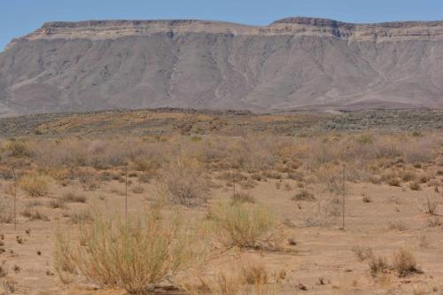 En direction de Fish River Canyon