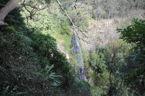 Chutes de Moran dans le parc de Lamington