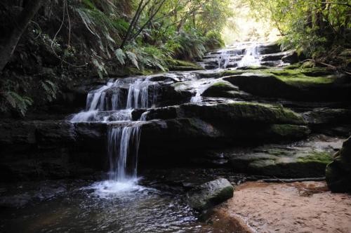 Cascade de Leura