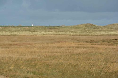 Karhoek et église de Den Hoorn