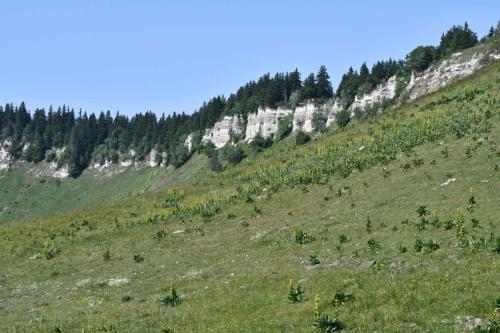 Belvédère de Charande