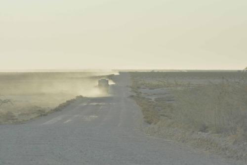 Piste en direction d'Halali