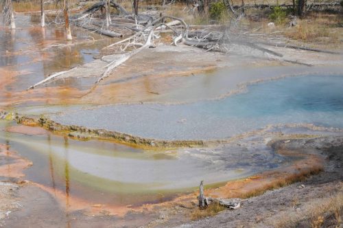 Lower geyser basin