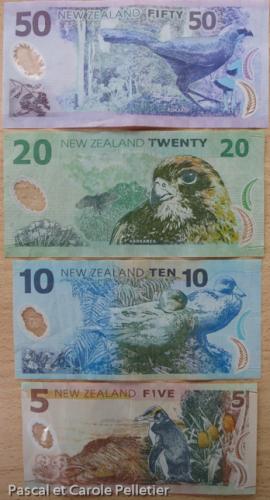 Billets neo-zélandais : 5 (Manchot antipode), 10 (Canard bleu), 20 (Faucon de Nouvelle-Zélande), 50 (Glaucope cendré). 