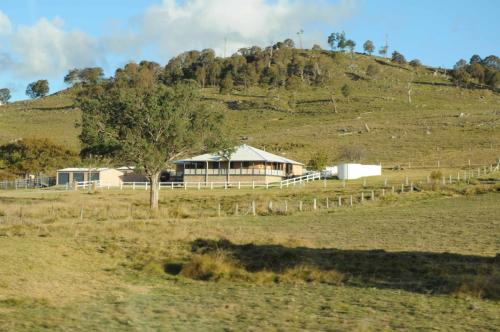 Campagne en arrivant à Tenterfield