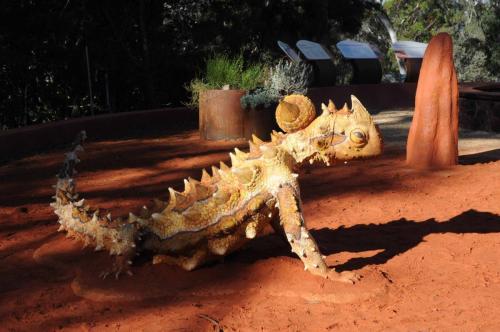 Jardin botanique - statue de lézard du désert rouge