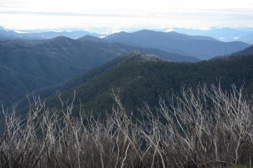 La route passe à 1800m et nous avons un panorama à 360° sur les Alpes Australiennes 