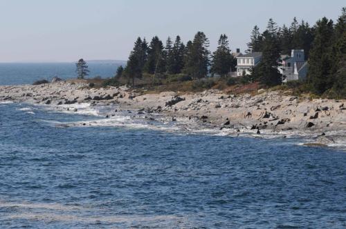 Pemaquid Point