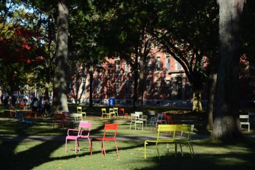 Université de Harvard