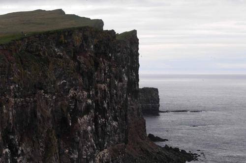 Falaises de Latrabjarg