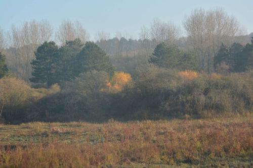 Réserve naturelle Baie de Canche