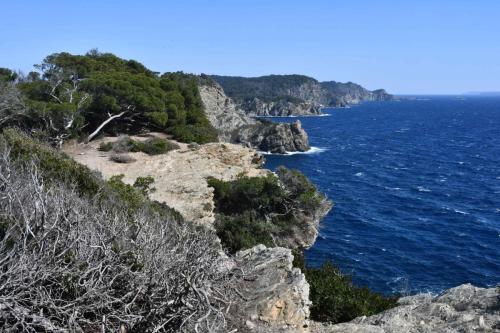 Calanque de l'indienne (Porquerolles)