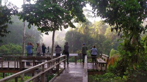 Pha Kluai Mai campground