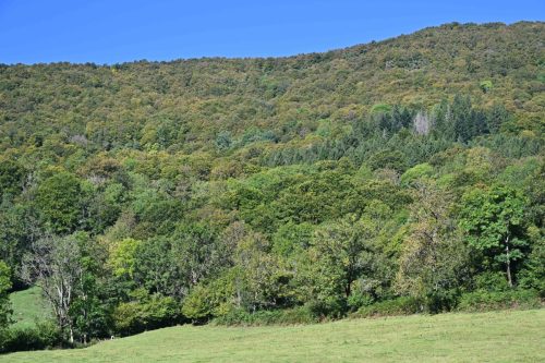 Près de la cascade de Faillitoux