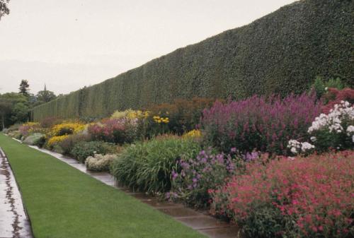 Edimbourg - Jardin botanique