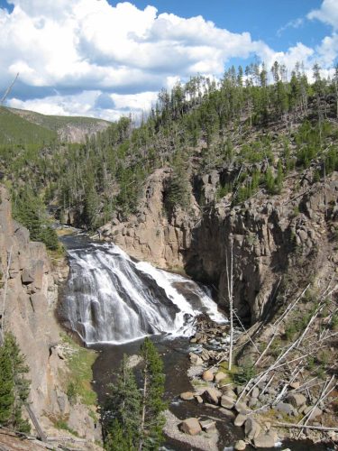 Gibbon falls
