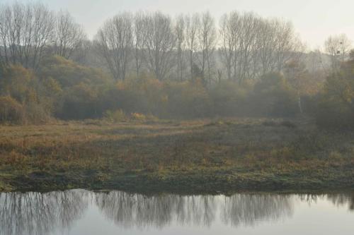 Réserve naturelle Baie de Canche