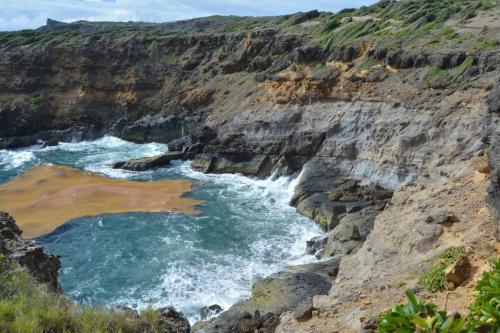 Anse chandelier, algues sargasses