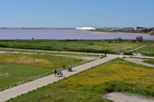 Salins d'Aigues-Mortes