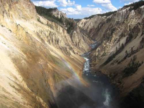 Canyon de Yellowstone
