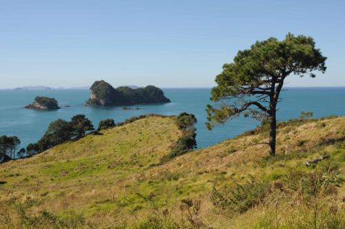 Côte est de la péninsule de Coromandel 