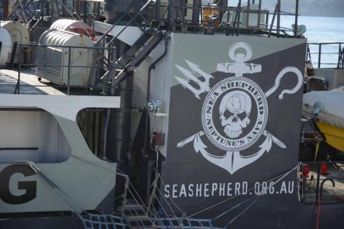 Bateau de l'organisation SeaSheperd qui lutte contre la chasse à la baleine